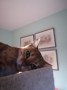 Bonny und Clyde (1)